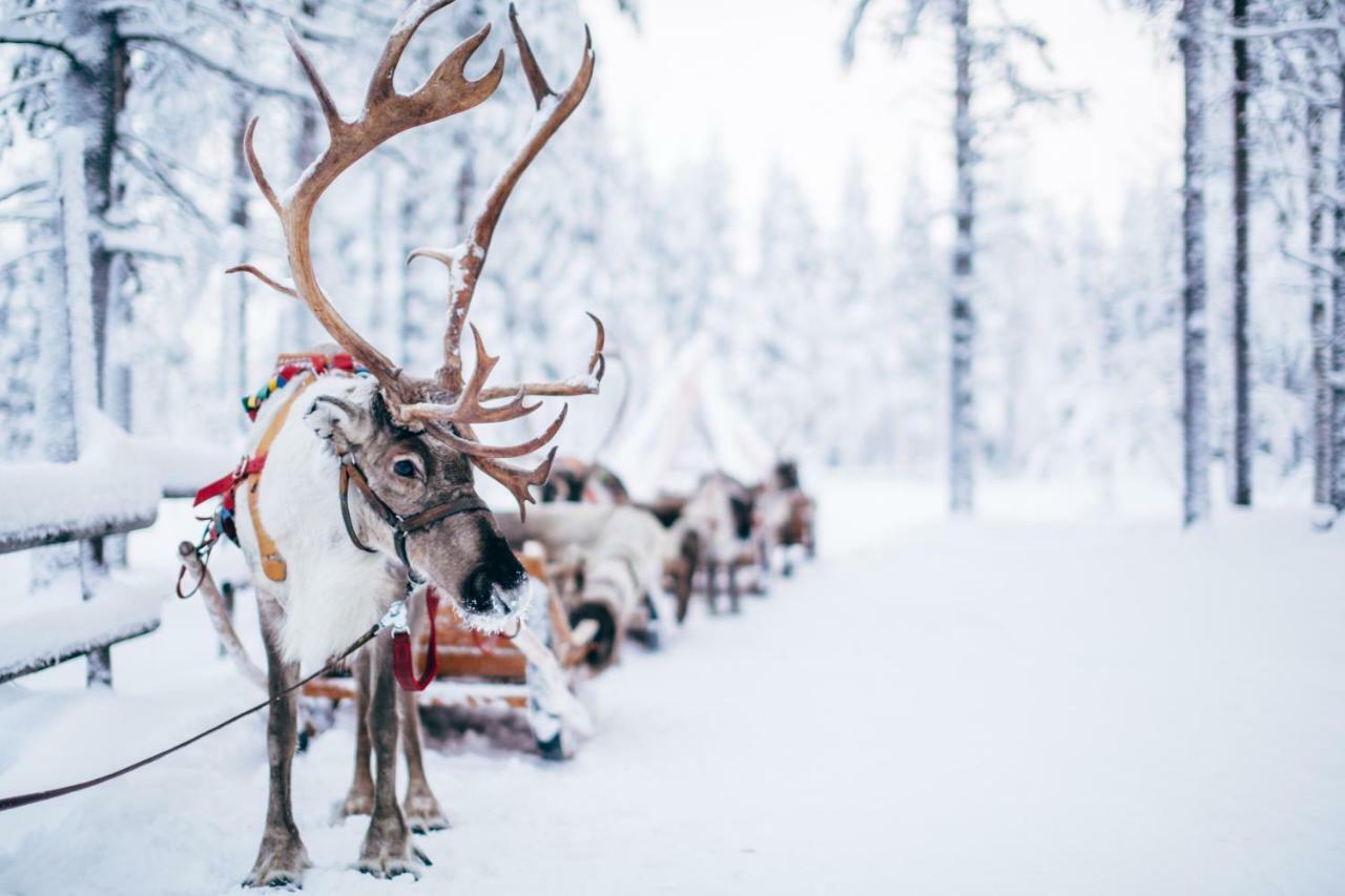 Forenom Serviced Apartments Rovaniemi Valtakatu Dış mekan fotoğraf